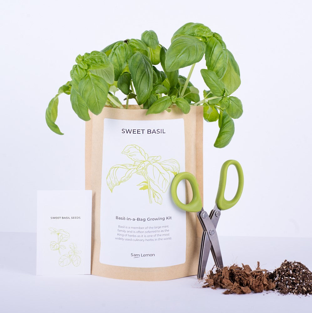 Basil in a Bag Growing Kit